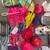 American Girl Blaire, Saige, Mia, and Tenney 17 thumbnail