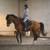 Riding lessons 5 thumbnail