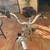 Kent Bayside Adult Cruiser Bicycle 4 thumbnail