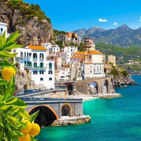 Work From Home Booking Travel ✈️ 1