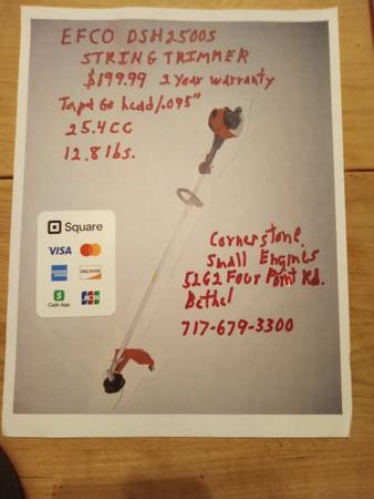 Efco DSH 2500S gas string trimmer 1