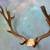 Taxidermy - Antlers/Sheds - Elk , Moose , Sika , Axis, Fallow and WT 18 thumbnail