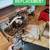 🛠️🛠️🛠️ WASHER DRYER REFRIGERATOR DISHWASHER OVEN STOVE REPAIR 11 thumbnail
