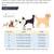 Dog collar - “Chick Magnet” - Large 5 thumbnail