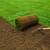 Any left over Sod from Construction site? 1 thumbnail