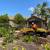 (Gonzalez Bros Tree Services ), Palm and, Trees Trimming Tree services 14 thumbnail