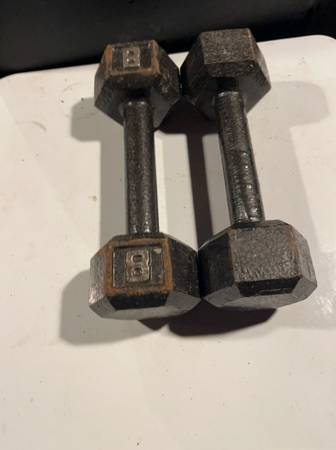 Iron Hex 8 lb Dumbbells 1