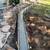 LANDSCAPING IN FREE ESTIMATES 18 thumbnail