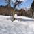 ❄️ We’re Hiring Guesthouse Staff in Echigo-Yuzawa (Niigata) ❄️ 6 thumbnail