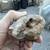 Fossil and Rock Collection 18 thumbnail