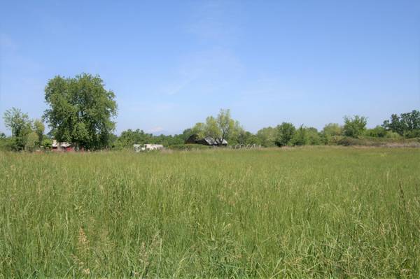 $400 FOR MONTHLY RENT for animals:  6 acres of peaceful grazing land (Anderson)64148859078657121