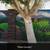 Wall Mural Paintings, Artist Painter, $800-2,500+ Indoors & Outdoors . 21 thumbnail