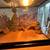 Orange Bearded Dragon 4 thumbnail