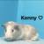Guinea pigs need home asap 5 thumbnail