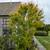Precision Pruning & Ecologically-Minded Gardening & Tree Care 8 thumbnail