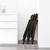Ikea Folding Frosvi Chairs x4 - Like New 3 thumbnail
