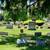 4 Premier Cemetery Plots - Wheaton 2 thumbnail