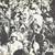Del Shofner & Y.A. Tittle: NY Giants: (Dual-Signed: Football Book!) 17 thumbnail