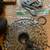 SRAM Apex XPLR AXS 1x12-speed (electronic groupset) 6 thumbnail
