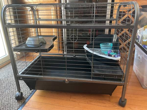 Animal Cage 1