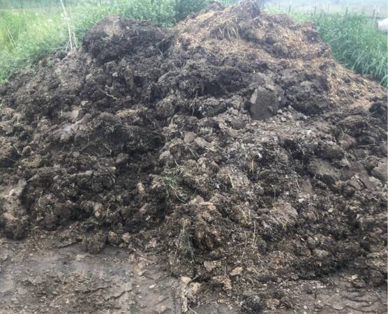 Rabbit manure 1