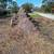 STUMP GRINDING & Surface Roots Removal by Brad Frederick's LLC 9 thumbnail