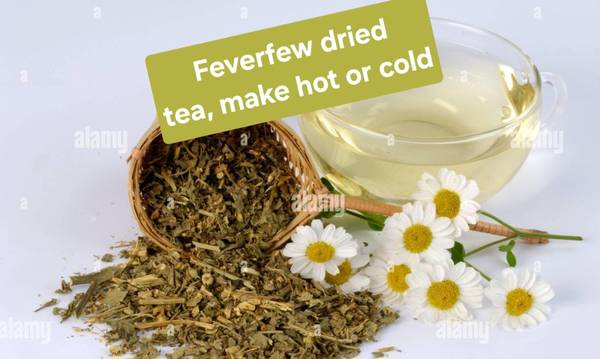Herbal teas 1