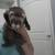 Rehoming Young Ferret 2 thumbnail