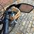 Pedego Cargo Bike 5 thumbnail