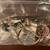 Jewelry LOT 20 thumbnail