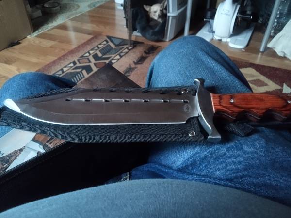 Really nice Bowies knife new - $15 (Powell)63470661689987125