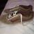 VANS SNEAKERS SIZE 12 EXCELLENT CONDITION 1 thumbnail