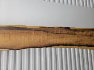 EXOTIC Brazilian Rosewood Tree Slice 1