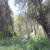 CALIFORNIA LAND FOR SALE,  CLEARLAKE 6 thumbnail