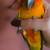 Sun conure bird 2 thumbnail