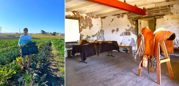 Excursión de un día: Calabazas y Adobe63814351384577120