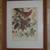 1950s Framed Bird Prints by Arthur Singer 2 thumbnail