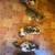 adorable kittens with unique markings 11 thumbnail
