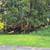 Hickory Hills Lot in Wisconsin Dells 20 thumbnail
