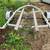 Bunk boat trailer 17 1/2' bayliner inboard/outboard  was on it 3 thumbnail