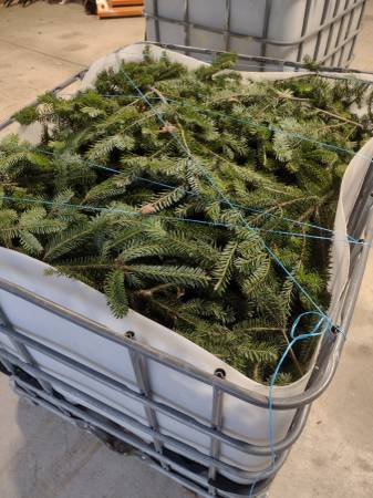 Fresh Christmas  Greens by the Pound 1