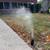 Lawn Maintenance / mulch / Yard Cleanup 14 thumbnail