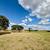 6± Acres with Home & Iprovements; 272± Acres Grassland/Timber - 3 Trac 22 thumbnail