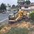 TREE &STUMP GRINDING &STUMP REMOVAL SERVICE 10 thumbnail
