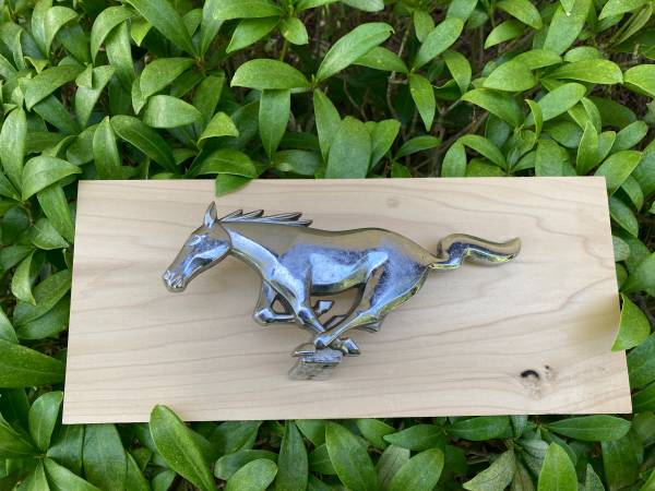 Ford Mustang emblem 1