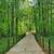 Build pipe fence, braces and hang your gate fast! No welding required 15 thumbnail