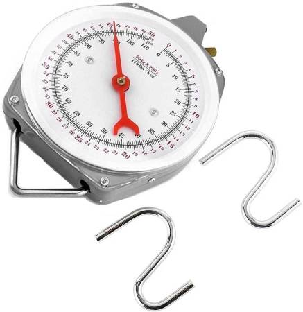 Spring Scale 1