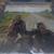 Huge vinyl record sale 1000s of titles 16 thumbnail