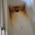 (737) 212-2078 – House cleaning!!! Deep clean 199$ promo !!! 14 thumbnail