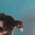 Baby chicks 12 thumbnail